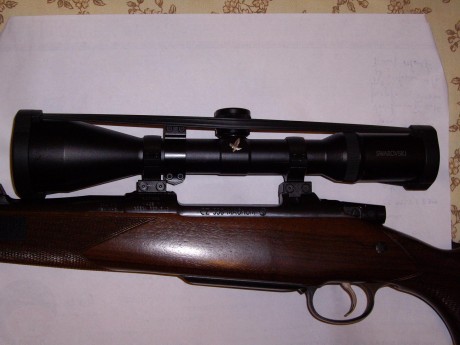 Pues empiezo yo :mrgreen: 3
De todas las armas que he tenido y tengo y de todos los disparos que he realizado, 70