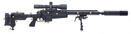 Quisiera hacerme un rifle custom con una acción remington 700, con cañon bergara en 308 pero estoy loco 20