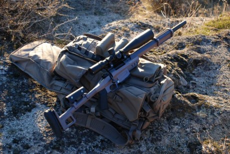 Quisiera hacerme un rifle custom con una acción remington 700, con cañon bergara en 308 pero estoy loco 30