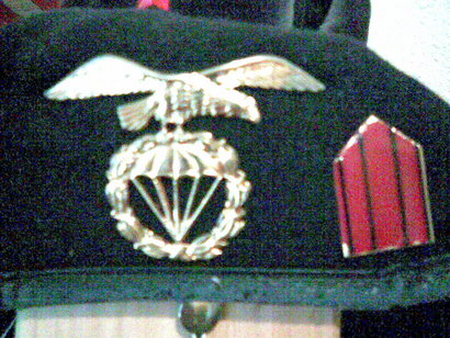 Hola a todos. Algún forero es veterano de la BRIPAC. Veterano del curso 200 para abajo....Saludos 120