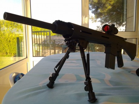 Inspirado por el compañero doors en su post sobre la carabina toz, intentare hacer lo propio sobre mi 10