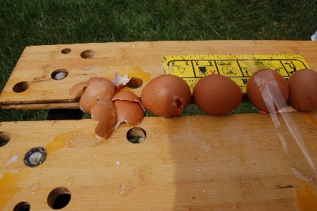 Otro experimento. 

   ¿Cuantos huevos puede romper una carabina?   

Material usado:

* Carabina GAMO 140