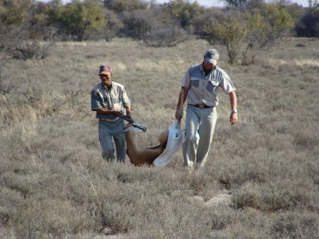 Comienzo este nuevo hilo para todos los que como yo estan bajo en "mono" de volver a Africa, 41