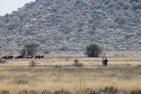 Comienzo este nuevo hilo para todos los que como yo estan bajo en "mono" de volver a Africa, 60