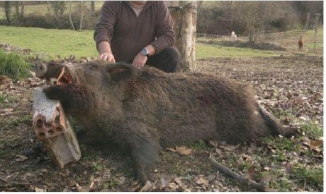   LOS ALMUERZOS DE CAZA MENOR NO CUENTAN Y LOS ABATES SIN FOTO TAMPOCO   

Voy a recordar las normas y 171