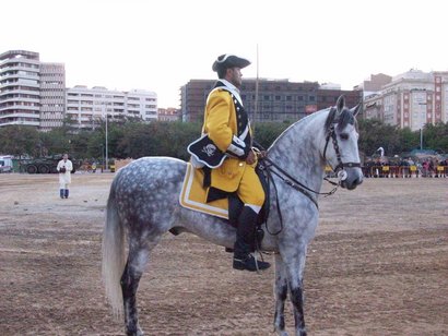 Carristas. Visto el lio de mensajes y fotos, abro este post y si os parece meter aquí las fotos sobre 01