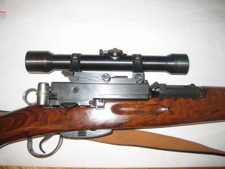 Buenas compañeros,

os voy a pedir consejo porque quiero comprar un fusil militar con fama de precisión 21