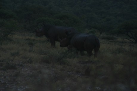Comienzo este nuevo hilo para todos los que como yo estan bajo en "mono" de volver a Africa, 170