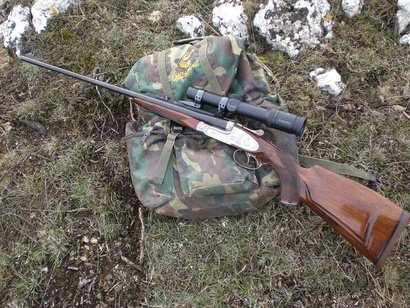  Abro un tema nuevo, (para mí al menos):

¿Por qué no se suelen usar rifles express en las monterías en 41