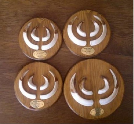 ¿que os parece si abrimos este hilo con trofeos no homologados? ... :lol: 
Bueno yo pongo la primera foto: 40