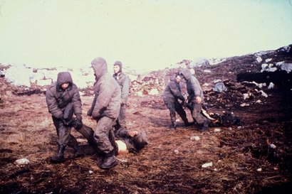 Relevancia de las islas:

En otro tiempo en las islas existían importantes puestos balleneros, pero 72