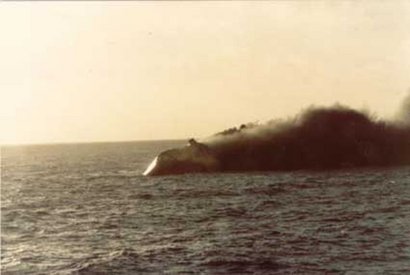 Relevancia de las islas:

En otro tiempo en las islas existían importantes puestos balleneros, pero 122