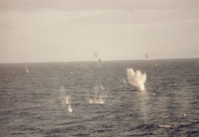 Relevancia de las islas:

En otro tiempo en las islas existían importantes puestos balleneros, pero 131