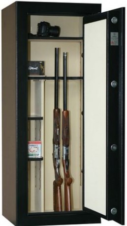 Buenas tardes, compañeros. Necesito adquirir un armero homologado para mis 4 rifles con el visor puesto. 10