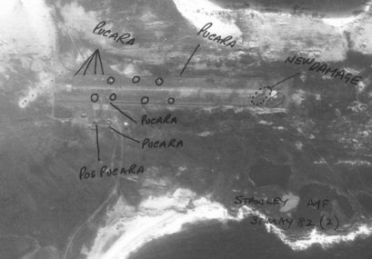 Relevancia de las islas:

En otro tiempo en las islas existían importantes puestos balleneros, pero 51