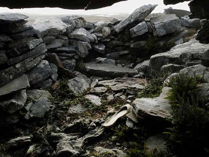 Relevancia de las islas:

En otro tiempo en las islas existían importantes puestos balleneros, pero 100