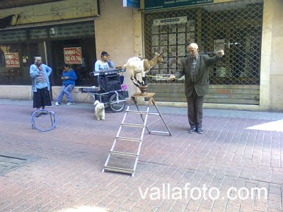 Como presidente de todos los cansos, decido poner los siguientes servicios mínimos para la Huelga general 50