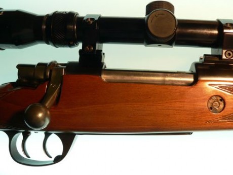 Se puede añadir algun tipo de montura tipo weaver en un santa barbara?
He recibido esto por email https://www.blackrecon.com/montura-weaver-para-el-rifle-mauser-98.html#
Y 10