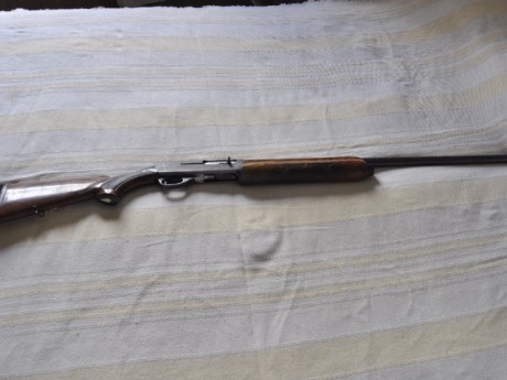 Buenas, a ver si entre todos podéis echarme una mano, que por herencia, tengo en mis manos 2 rifles y 01