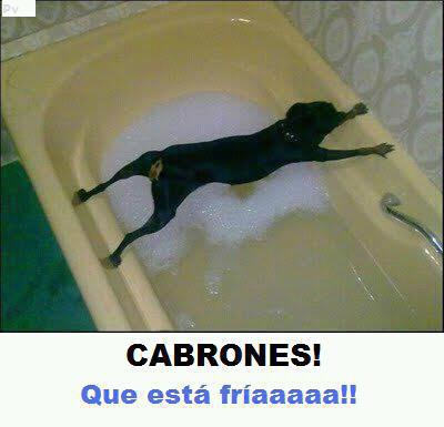  Ya que diversos foreros me han solicitado reabrir aquel viejo y exitoso hilo "Vernos las caras", 90