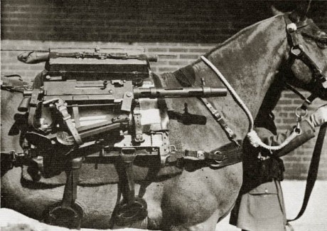 Hace unos días encontré por casualidad en una web extranjera un arma a la venta que hacía muchos años 170
