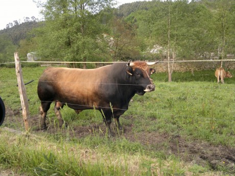 Este es un llamamiento para los foreros de Cantabria que no tenemos el gusto de conocernos en persona, 10