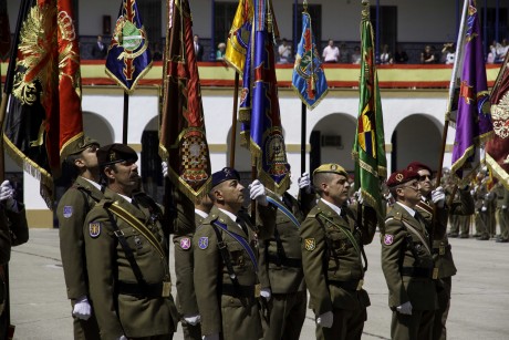  http://www.ejercito.mde.es/gl/agenda/2012/04/1543.html 

no digo na..........

y 150