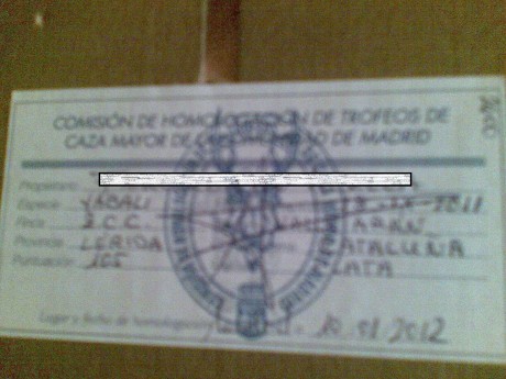 ¿que os parece si abrimos este hilo con trofeos no homologados? ... :lol: 
Bueno yo pongo la primera foto: 171