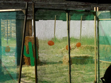 Que gran día para la avancarga española, una tirada que a parte de lo deportivo, que ha sido bueno, bueno, 80
