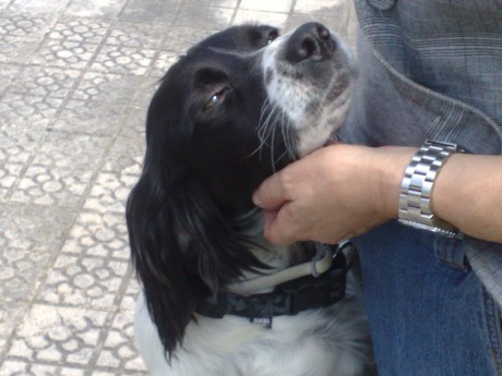 Hola a tod@s.
Abro este hilo para pedir que ayudeis en lo que podais, da igual si son mantas, pienso, 130