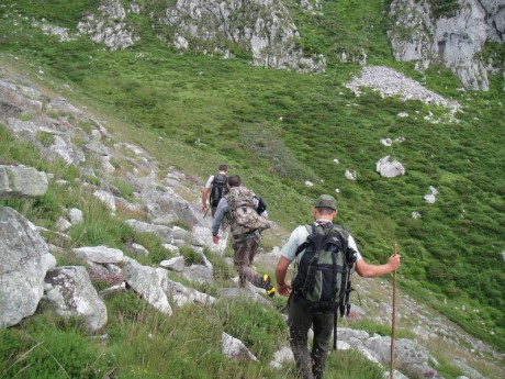 Buenos días,

Me gustaría saber que opciones existen para poder cazar un rebeco en los Picos de Europa. 162