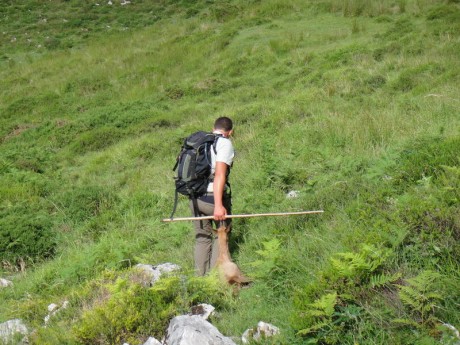 Buenos días,

Me gustaría saber que opciones existen para poder cazar un rebeco en los Picos de Europa. 170