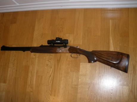 Os agradecería me diérais vuestra opinión sobre el Express Beretta 689 Silver Sable como arma y si es 31