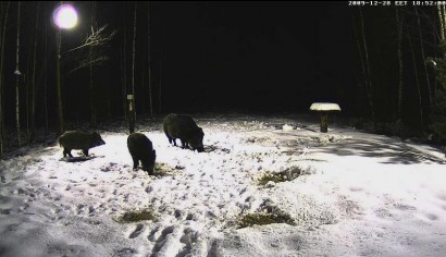 Mas de uno os acordareis que el año pasodo un web colgo una webcam en el monte para poder ver en tiempo 30