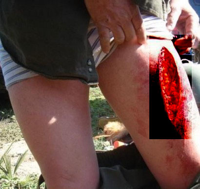 Sangre fría tiene el cazador, por cierto es una superpuesta?

 http://www.liveleak.com/view?i=fc4_1260308265 30