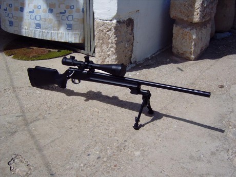 Muy buenas compis, ultimamente he estado currando con mi carabina haciendo de pintor y he decidido colgar 20