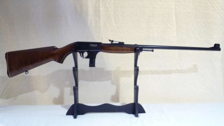 Estoy interesado en la compra de una de estas dos carabinas. Se ya las características y desarmes de cada 130
