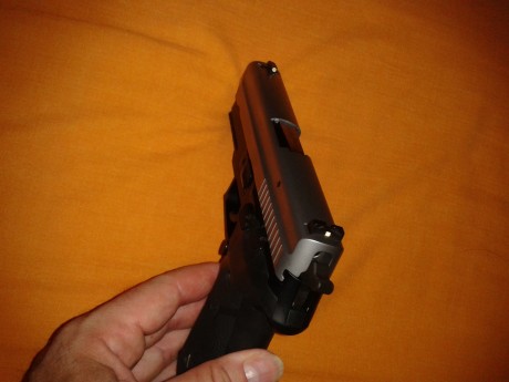 Hola, vendo mi Sig Sauer p229 bitono,  esta nueva, ha disparado cien cartuchos, ni un solo rayon, esta 10