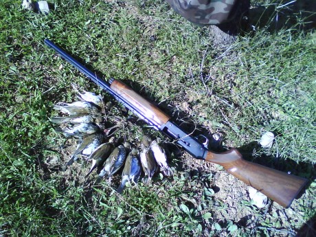 En muchas ocasiones nos dejamos llevar por los grandes titulares e innovaciones en armas destinadas a 100