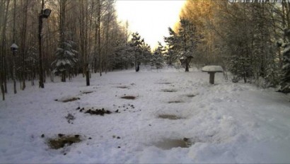 Estos son los enlaces. Hacer clic sobre la foto del bosque nevado. Y si no conecta así, hacer clic bajo 02