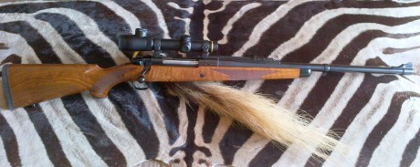 Pues empiezo yo :mrgreen: 3
De todas las armas que he tenido y tengo y de todos los disparos que he realizado, 120