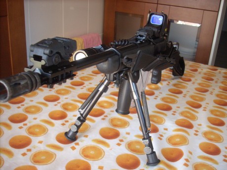 Haber si me sé explicar correctamente para que podáis llegar a entenderme  :shock: 

Tengo ésta carabina, 100