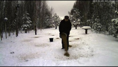 Estos son los enlaces. Hacer clic sobre la foto del bosque nevado. Y si no conecta así, hacer clic bajo 10
