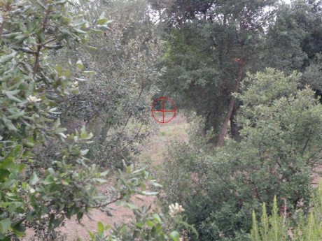   LOS ALMUERZOS DE CAZA MENOR NO CUENTAN Y LOS ABATES SIN FOTO TAMPOCO   

Voy a recordar las normas y 30