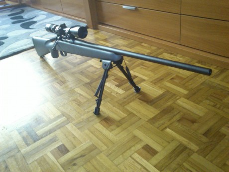 Me gustaria que me dierais vuestra opinion entre comprar un remington 770 o comprar un marlin x7,ambos 31