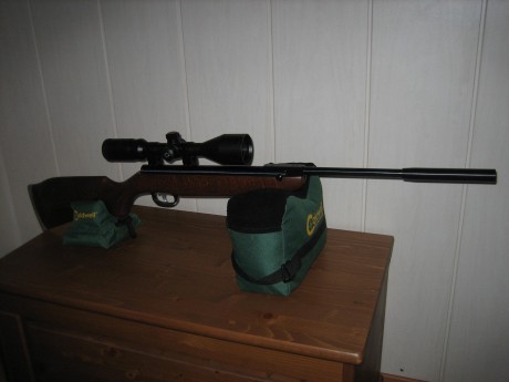 Bueno, por fin, despues de casi 4 meses ya tengo en casa esta preciosa carabina ( y segun creo yo,bastante 21