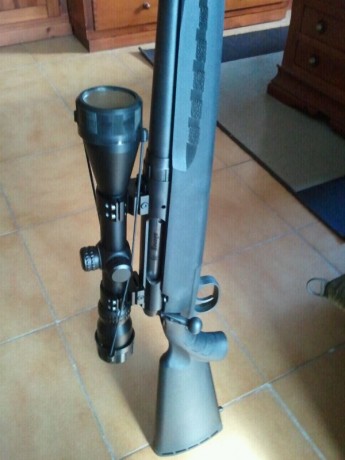 Me gustaria que me dierais vuestra opinion entre comprar un remington 770 o comprar un marlin x7,ambos 70
