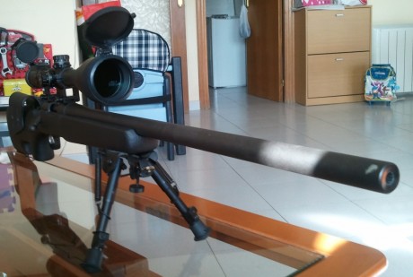hola a todos:
pues eso que tengo en mente comprar una culata para mi remington 700 varmint y estoy un 101