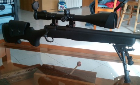 hola a todos:
pues eso que tengo en mente comprar una culata para mi remington 700 varmint y estoy un 100