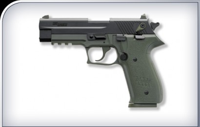 Hola compañeros quiero comprar una de estas dos pistolitas ,para tirar de vez en cuando un calibre baratillo 30